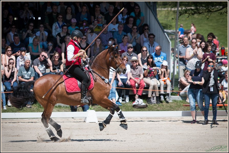 Pferd International 071